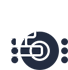 IP  Cameras